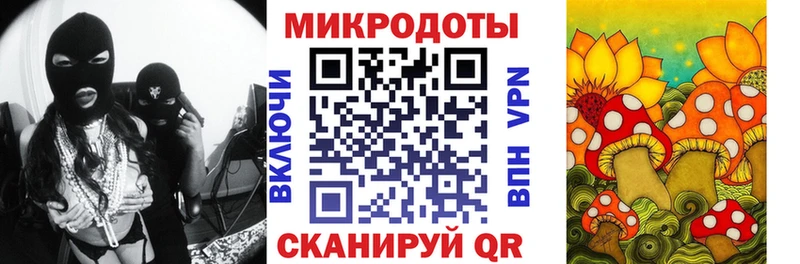 Галлюциногенные грибы Magic Shrooms Иннополис